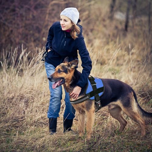 Dog Harness Reflective No (Blue / Girth 33" to 46")