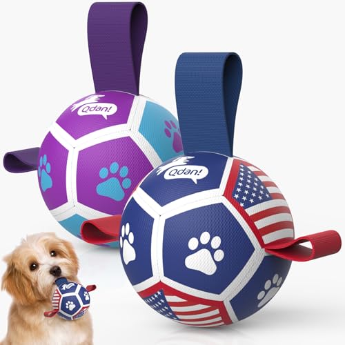 2 Pack Small Dog Toys (Soccer Pack / 2 Pack (3.5 Inch Balls))