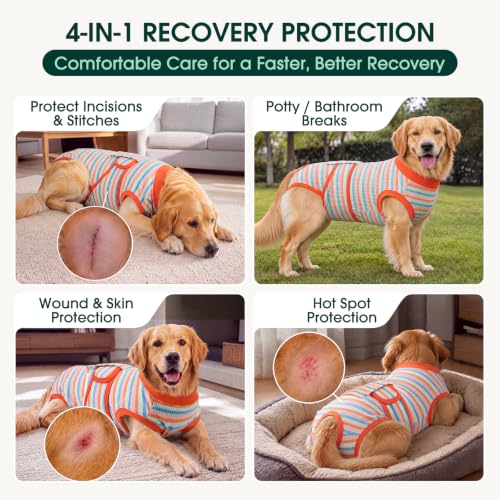 Recovery Suit for Dogs Cats (Large (Back:16.1-20.1'', Weight:23-48 Lb) / Pastel Rainbow)