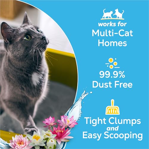Clumping Cat Litter (35 Pound (Pack of 1) / Glade Clear Springs)