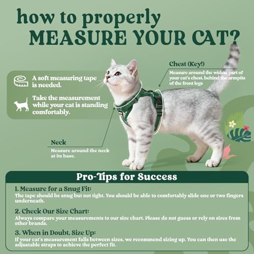 Cat Harness and Leash Set (S / Rainforest Green)