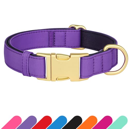 Soft Padded Dog Collar for Large Dogs (Purple / L：Fit 16-22" Neck, Width 1")