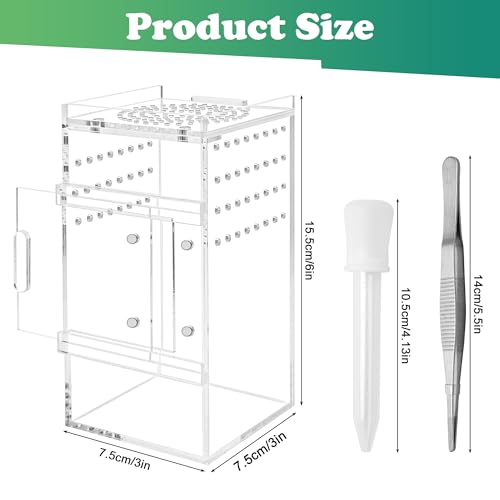 Jumping Spider Enclosure