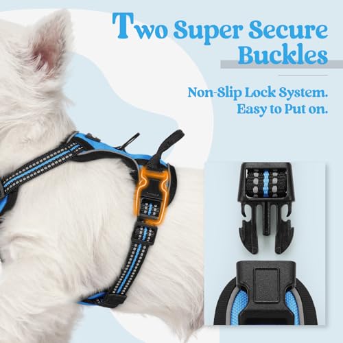 Dog Harness No Pull for Small Dogs with 2 Leash Clips (X-Small / Blue)