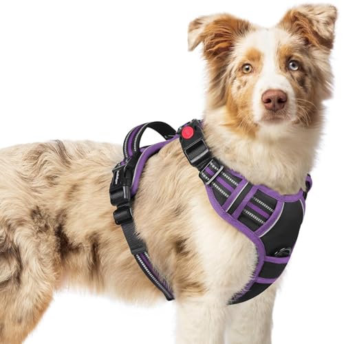 Dog Harness Medium Sized (Black & Purple / Medium)