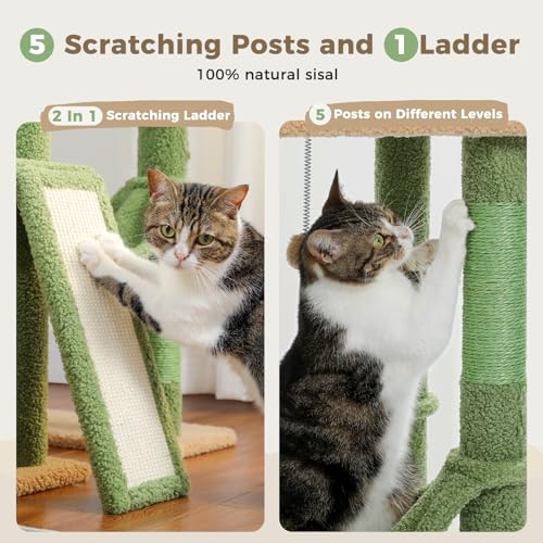 Adjustable Cactus Cat Tree 85 (Cactus / Dual Posts)