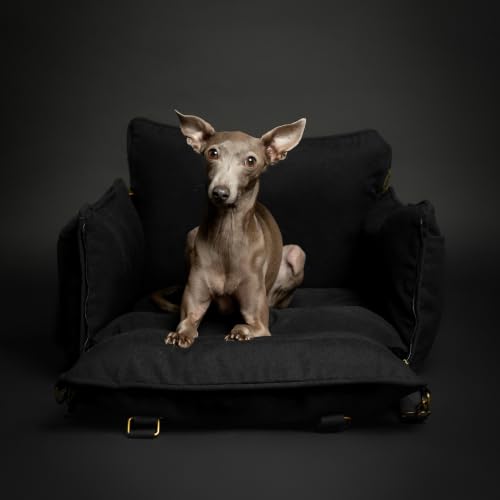Small Dog Car Seat for Small Medium Pets with Harness Clip (Black - Canvas / Medium)