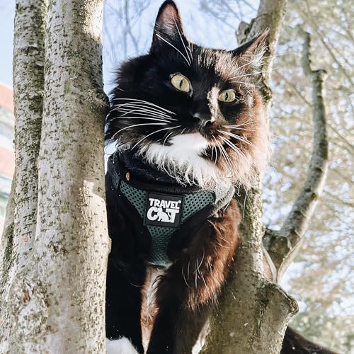 Travel Cat The Emerald Explorer Limited Edition Green Harness and Leash Set (X-Small / Emerald)