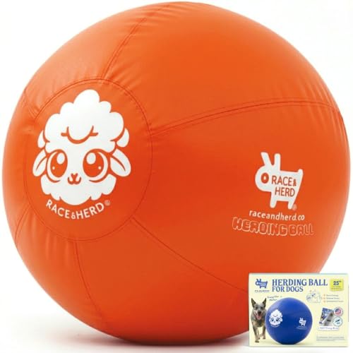 25" Herding Ball for Dogs (Tangerine - L 25" Herding Ball Set / L 25")
