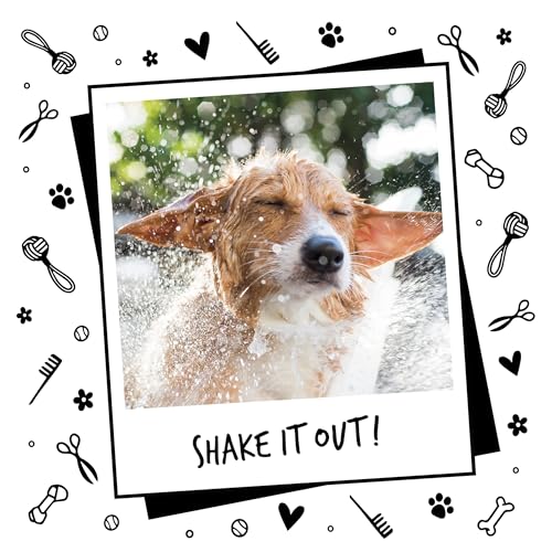 Dog Shampoo Luxury 2 in 1 Papaya & Coconut Dog Grooming Shampoo Products for Smelly Dogs with Fragrance