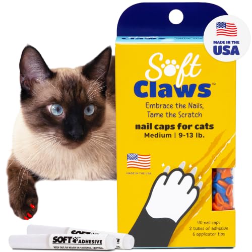 Nail Caps for Medium Cats (Medium / Blue & Orange)