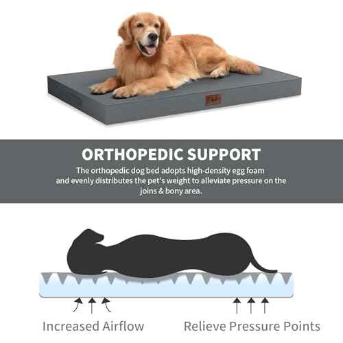 Orthopedic Waterproof Dog Bed for Small Dogs and Cats (Grey / 29.0"L x 18.0"W x 3.0"Th)