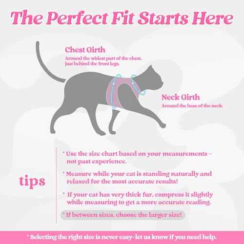 Cat Harness and Leash Set (L / Black & Pink)