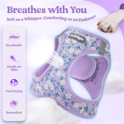 Dog Harness Small Sized and Leash Set (Lavender Floral / Xs (chest: 13.3 - 15.5"))