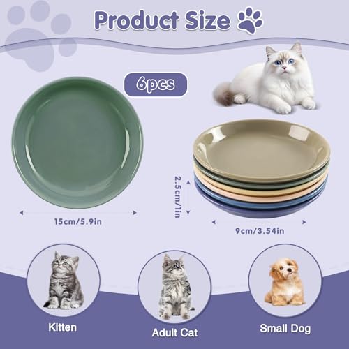 6 Pack Cat Food Bowl (CaiSe-B)
