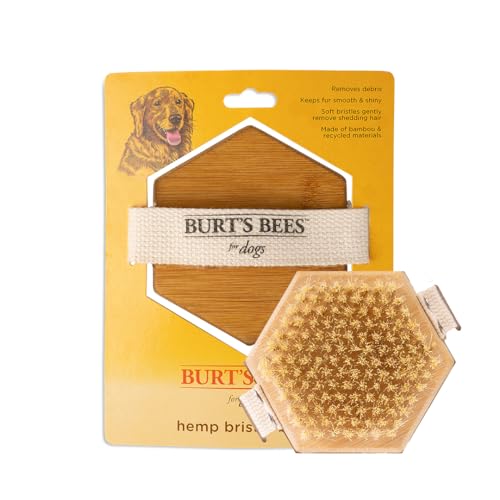 Palm Brush with Hemp Bristles (Brown / 1 Count)