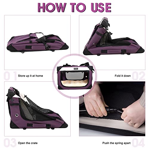 Large Cat Carrier (24.0"L x 16.0"W x 16.0"H / Purple)