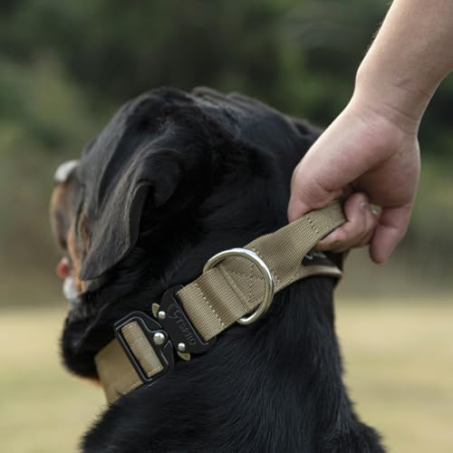 Tactical Dog Collar (Basic Green - Handle Style / M: Neck 14.5" to 18")