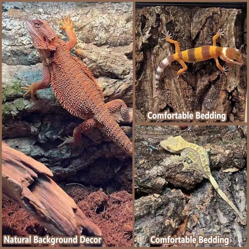 2PCS 15.7"x11.8" Natural Thickened Reptile Cork Bark Terrarium Background (2PCS - L：15.7" x 11.8")