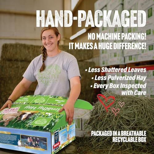 1st Cutting Timothy Hay for Rabbits & Guinea Pigs (20 Pound (Pack of 1))
