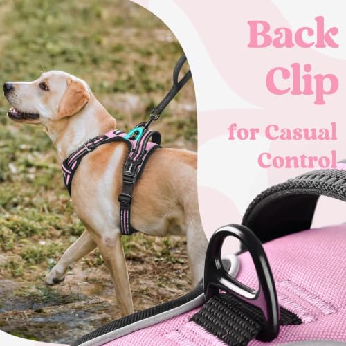 Dog Harness for Large (Large / Pink)