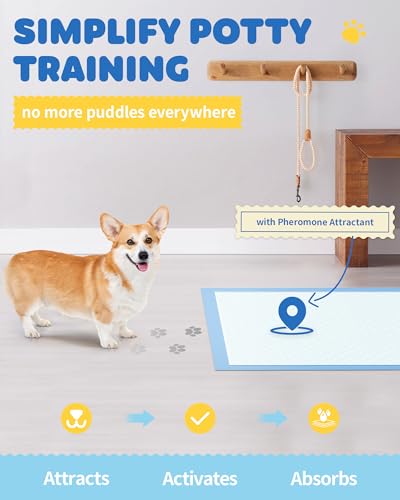 Puppy Pads for Dogs (38" x 28" (75 Packs))