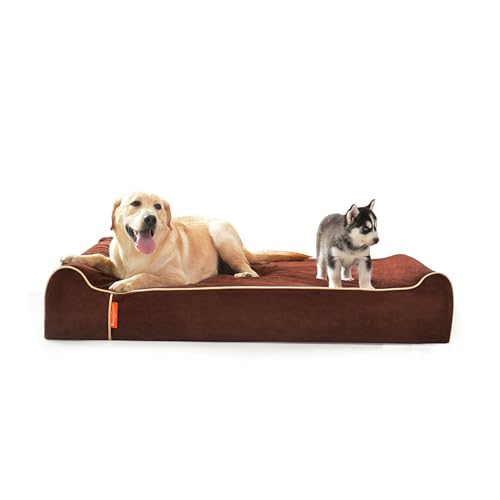 Orthopedic Dog Bed (50.0"L x 36.0"W x 10.0"Th / Chocolate)