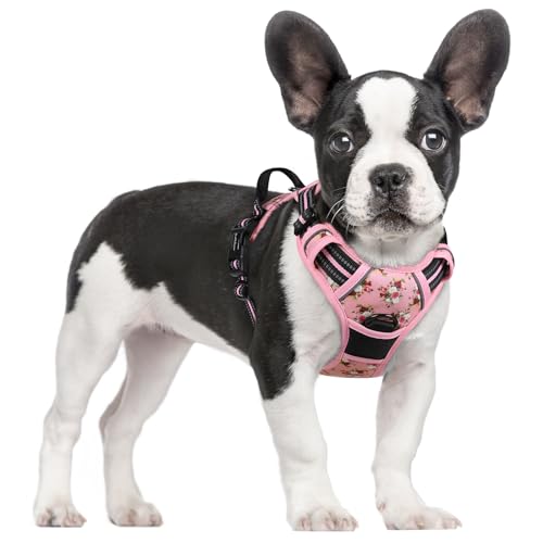 Dog Harness No Pull for Small Dogs with 2 Leash Clips (Small / Pink Rose)