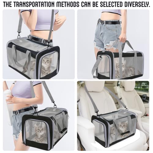 Pet Carrier for Large Cats of 20 Lbs (Black)