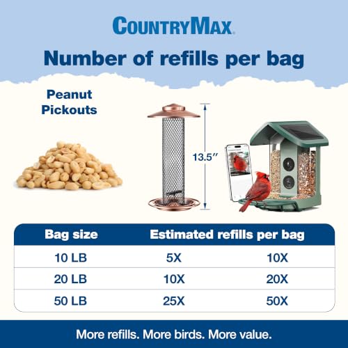 10LB Shelled Whole Peanuts for Wild Birds & Squirrels (10 Pound (Pack of 1) / Shelled Peanut Pickouts)