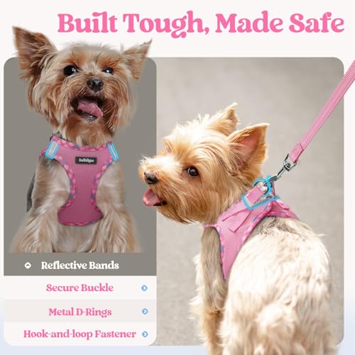 Dog Harness Medium Sized and Leash Set (Pink & Plaid Trim / L (chest: 18.2 - 20.5"))