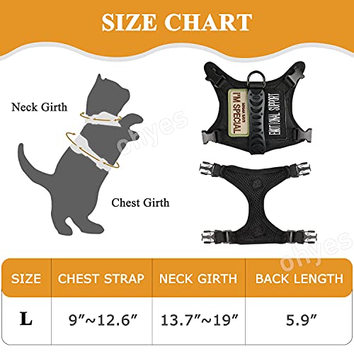 Tactical Cat Harness and Leash for Walking (Large / Black)