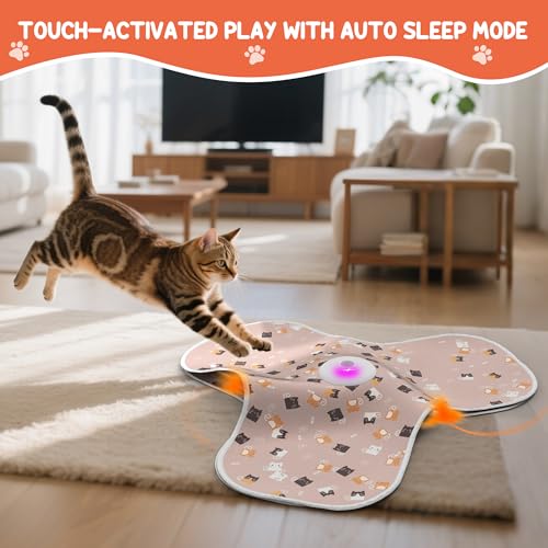 Interactive Cat Toys for Indoor Cats‌ Adult‌ with Feather Tail Switchable Mouse Sounds (PINK)