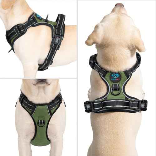 No Pull Dog Harness with Handle Reflective Padded Vest (Small / Misty Green)