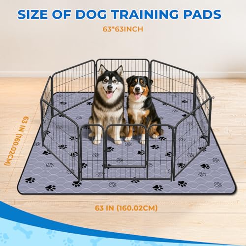 Washable Pee Pads for Dogs (Gray / 63*63 Inch (Pack of 2))