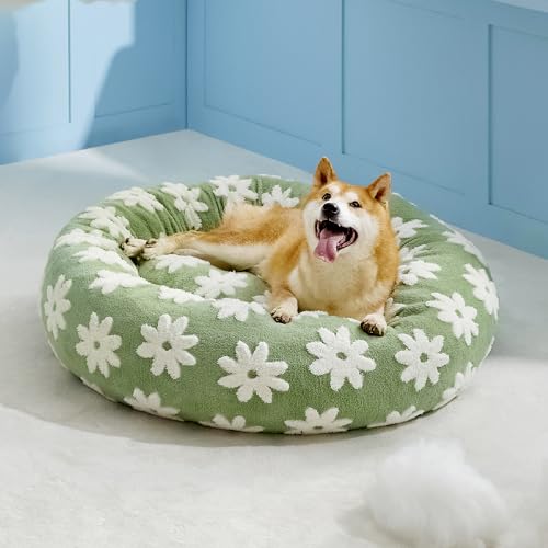 Shown on TV Jacquard Donut Dog Beds Large Sized Dog (36.0"L x 36.0"W x 8.0"Th / Flower Garden Green)