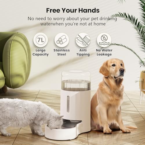 Gravity Dog Water Bowl Dispenser (White / 7L)