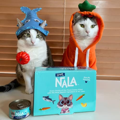 Natural Adult Cat Wet Food