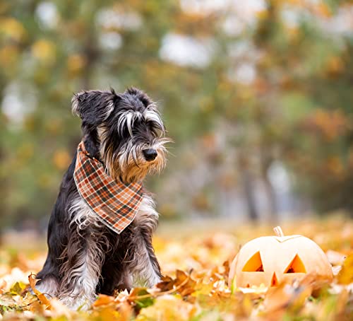 Halloween Dog Bandana (Orange&Black Grid / Large (Pack of 1))