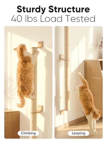 Cat Wall Scratcher (60 inch)
