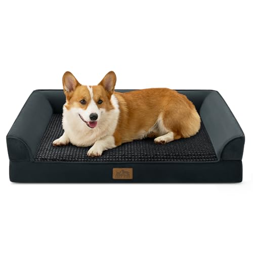 Orthopedic Dog Bed for Large Sized Dogs (Black / L:36x27x6.5 inch)