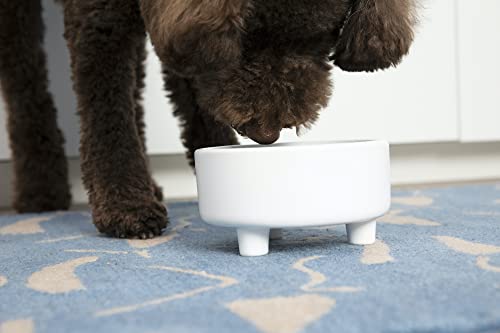 Uplift Ceramic Dog Bowl for Small Medium and Large Breeds (Medium / Black)