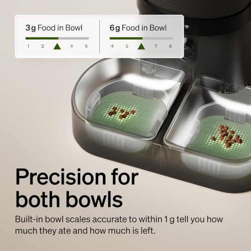 Automatic Cat Feeder for 2 Cats (Black / 5l dual bowl)