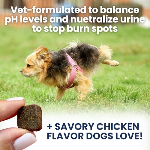 Nice Grass Chews for Dogs