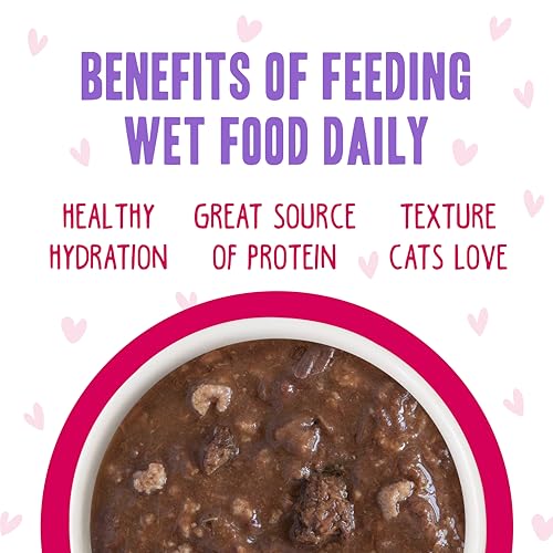 B.F.F. OMG Best Feline Friend Oh My Gravy! (5.5 Ounce (Pack of 8))