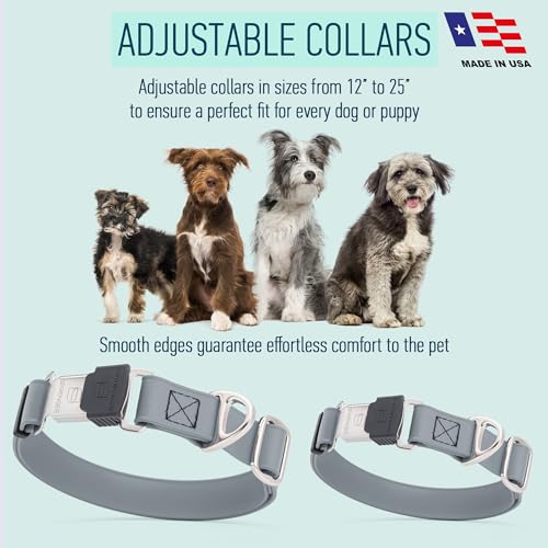 Biothane Waterproof Dog Collar with Herm Sprenger Black Stainless Steel Quick Release Buckle (W 1" x L 15"-25" / Battleship Gray)