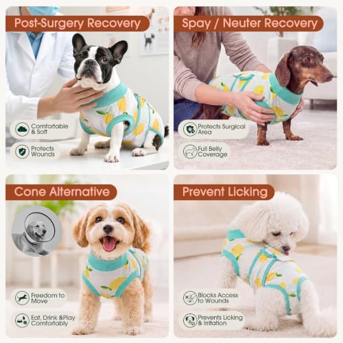 Recovery Suit for Dogs Cats (X-small (Back:8.3-11.4'', Weight:4-7 Lb) / Lemon Zest)