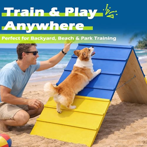 Dogs Agility Course Backyard Set