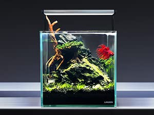 Dark Seiryu Stone 34lb Aquarium Rocks Stones for Fish Tank Decor (09 Dark Seiryu Stones(3-11inch,36lbs))