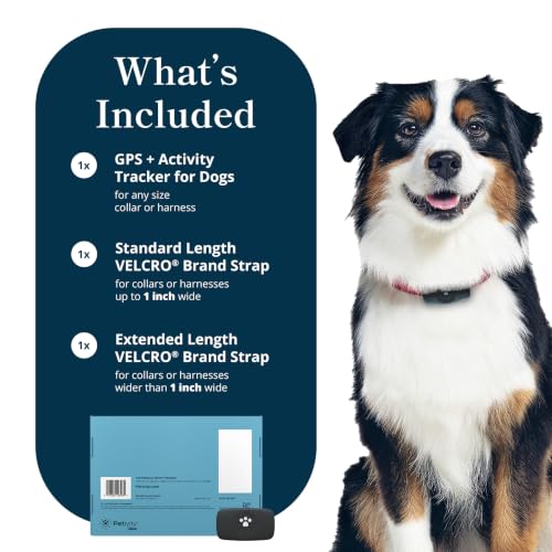 Smart GPS and Activity Dog Tracker Tag (Black)